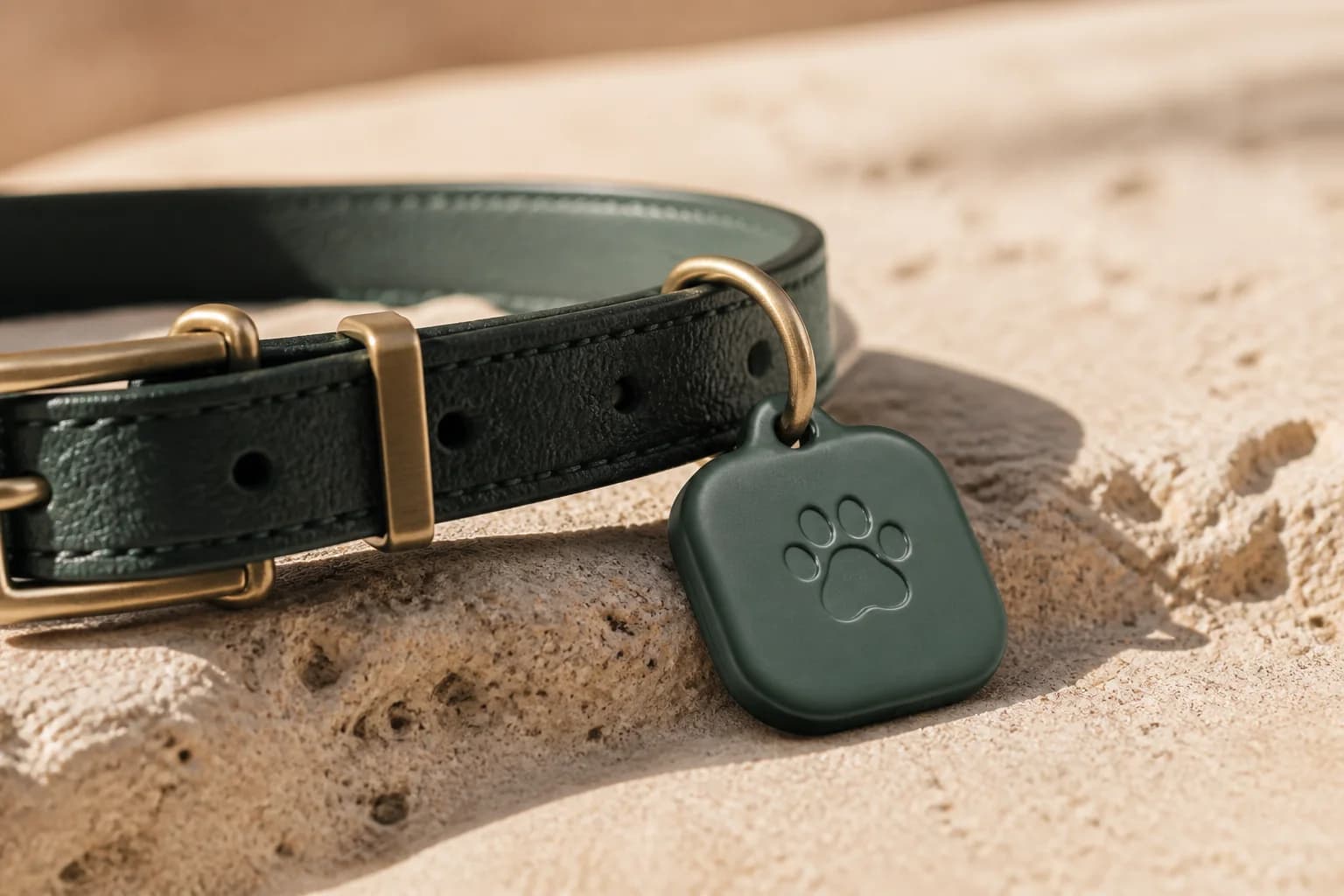 Close view of the slim Pawchini tag concept, collar and attachment hardware